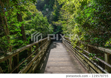 Osaka Prefectural Forest Hoshida Park Kawazoi no Michi Forest Railway-style Footbridge Katano City, Osaka Prefecture 119578735