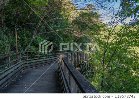 Osaka Prefectural Forest Hoshida Park Kawazoi no Michi Forest Railway-style Footbridge Katano City, Osaka Prefecture Osaka Prefectural Forest Hoshida Park Kawazoi no Michi Forest Railway-style Footbridge Katano City, Osaka Prefecture 119578742