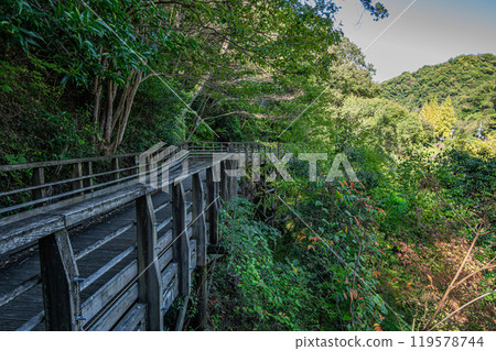 Osaka Prefectural Forest Hoshida Park Kawazoi no Michi Forest Railway-style Footbridge Katano City, Osaka Prefecture 119578744