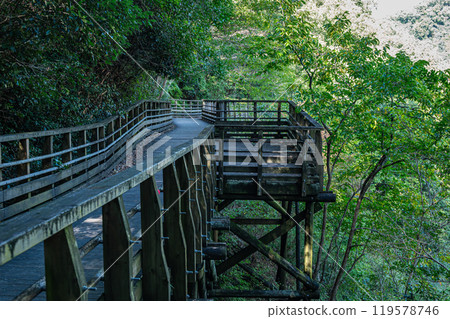 Osaka Prefectural Forest Hoshida Park Kawazoi no Michi Forest Railway-style Footbridge Katano City, Osaka Prefecture Osaka Prefectural Forest Hoshida Park Kawazoi no Michi Forest Railway-style Footbridge Katano City, Osaka Prefecture 119578746
