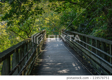 Osaka Prefectural Forest Hoshida Park Kawazoi no Michi Forest Railway-style Footbridge Katano City, Osaka Prefecture Osaka Prefectural Forest Hoshida Park Kawazoi no Michi Forest Railway-style Footbridge Katano City, Osaka Prefecture 119578751