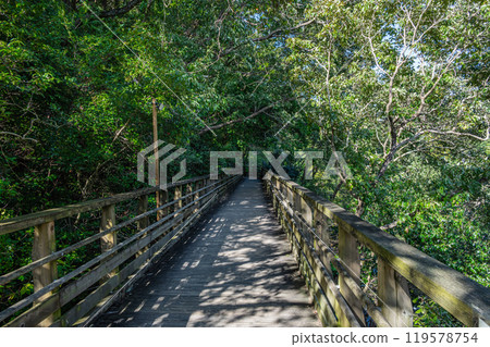 大阪府森林星田園地河三路森林鐵路式人行橋 大阪府交野市 119578754
