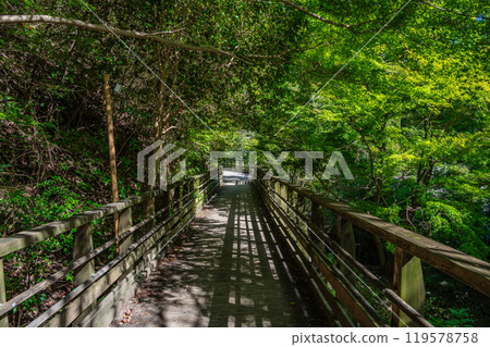 Osaka Prefectural Forest Hoshida Park Kawazoi no Michi Forest Railway-style Footbridge Katano City, Osaka Prefecture Osaka Prefectural Forest Hoshida Park Kawazoi no Michi Forest Railway-style Footbridge Katano City, Osaka Prefecture 119578758