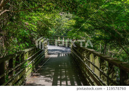 Osaka Prefectural Forest Hoshida Park Kawazoi no Michi Forest Railway-style Footbridge Katano City, Osaka Prefecture 119578760
