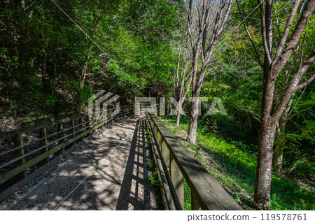 大阪府立森林 星田園 河藏寺 大阪府交野市 119578761