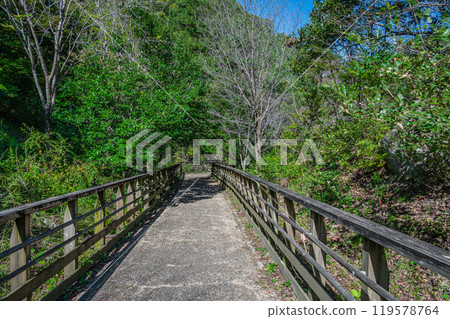 Osaka Prefectural Forest Hoshida Park Kawazoi no Michi Katano City Osaka Prefecture 119578764