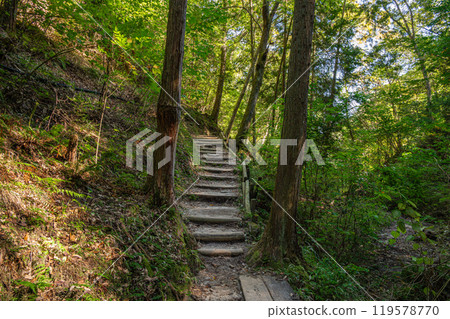 Hiking trail leading to Star Swing, Adventure Road, Katano City, Osaka Prefecture 119578770
