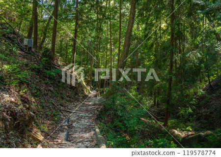 Hiking trail leading to Star Swing, Adventure Road, Katano City, Osaka Prefecture Hiking trail leading to Star Swing, Adventure Road, Katano City, Osaka Prefecture 119578774