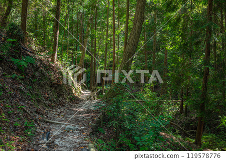 大阪府交野市寶研之道 通往星星鞦韆的健行路線 119578776