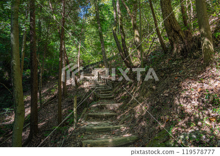 Hiking trail leading to Star Swing, Adventure Road, Katano City, Osaka Prefecture 119578777