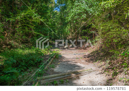 Hiking trail leading to Star Swing, Adventure Road, Katano City, Osaka Prefecture Hiking trail leading to Star Swing, Adventure Road, Katano City, Osaka Prefecture 119578781
