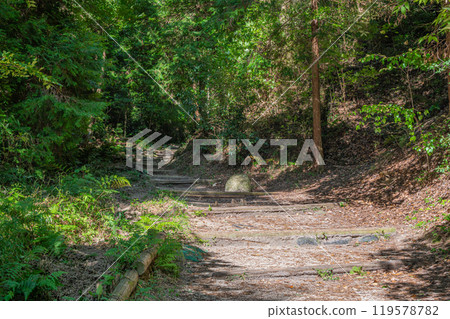 Hiking trail leading to Star Swing, Adventure Road, Katano City, Osaka Prefecture Hiking trail leading to Star Swing, Adventure Road, Katano City, Osaka Prefecture 119578782