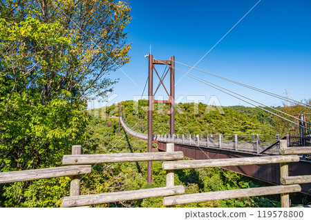 Katano City's famous Star Swing Suspension Bridge Osaka Prefectural Forest Hoshida Park 119578800