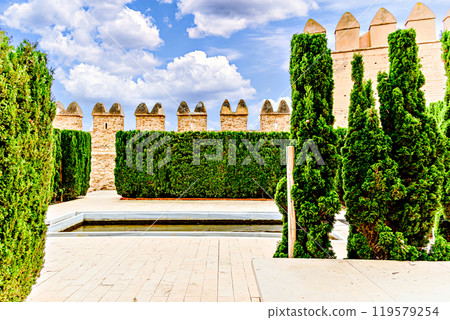 building, castle, fortress 119579254