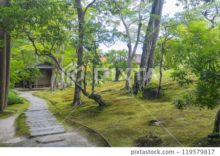 奈良的風景園林依水園後花園 119579817