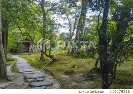 Nara's famous garden, Isuien Garden, rear garden 119579818