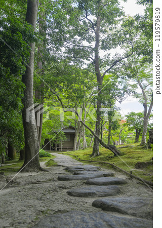 Nara's famous garden, Isuien Garden, rear garden 119579819