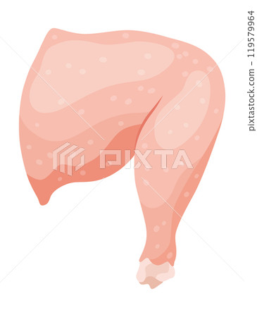 An educational illustration showcasing the cut and part of raw chicken meat 119579964