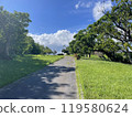 鬱鬱蔥蔥的公園 119580624