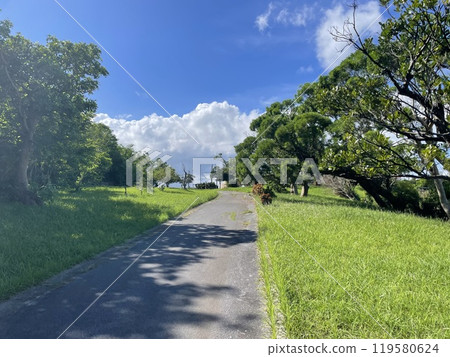 鬱鬱蔥蔥的公園 鬱鬱蔥蔥的公園 119580624