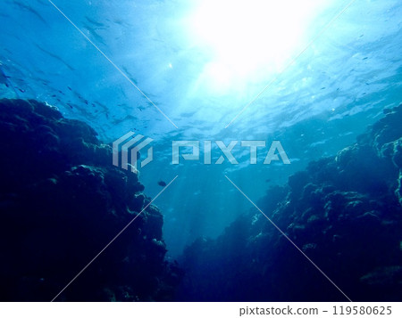 天空我從水下抬起頭來 天空我從水下抬起頭來 119580625