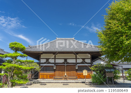 Asukadera Temple Main Hall (Asuka Village, Nara Prefecture) 119580649