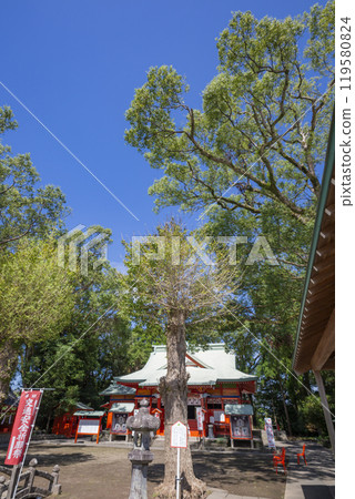 Daewoo Dame Shrine Daewoo Dame Shrine 119580824