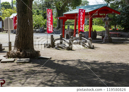 大宇聖母院 大宇聖母院 119580826