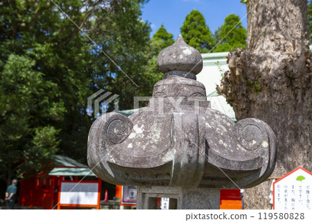 大宇聖母院 大宇聖母院 119580828
