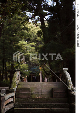 Itoshima City, Fukuoka Prefecture: Approach to Sakurai Shrine Itoshima City, Fukuoka Prefecture: Approach to Sakurai Shrine 119580985