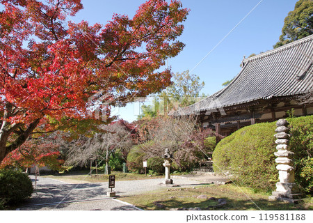 秋天的長岳寺 119581188