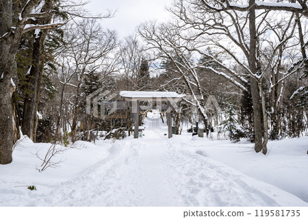 Winter at Togakushi Shrine Okusha Large Torii Gate, Togakushi, Nagano City, Nagano Prefecture 119581735