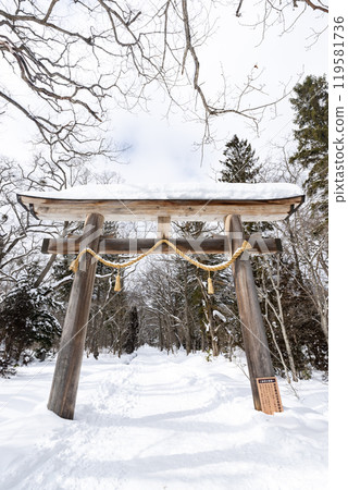 Winter at Togakushi Shrine Okusha Large Torii Gate, Togakushi, Nagano City, Nagano Prefecture 119581736