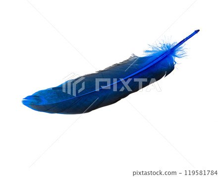 Blue decorative feather isolated on the white background 119581784