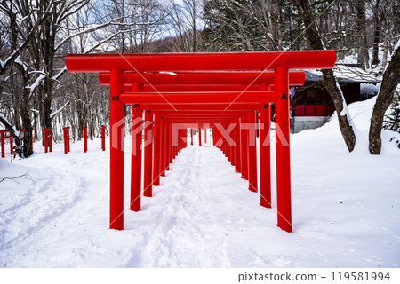 冬季 長野縣長野市 戶隱 天命稻荷神社 119581994