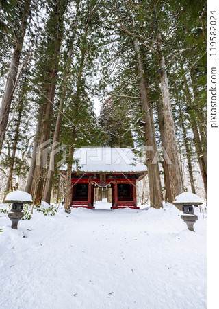 Togakushi Shrine Okusha Cedar Tree Line (Shrine Grove) and Zuishinmon Gate in winter, Togakushi, Nagano City, Nagano Prefecture 119582024