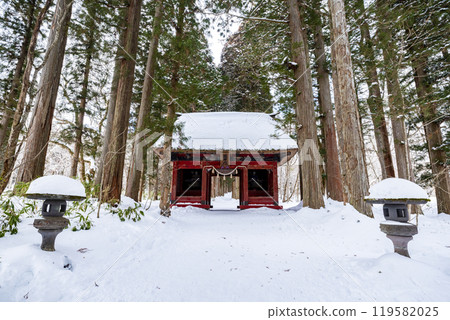 Togakushi Shrine Okusha Cedar Tree Line (Shrine Grove) and Zuishinmon Gate in winter, Togakushi, Nagano City, Nagano Prefecture 119582025