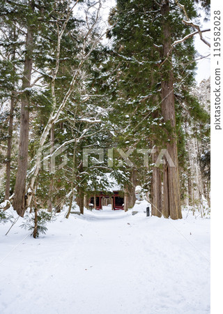 Togakushi Shrine Okusha Cedar Tree Line (Shrine Grove) and Zuishinmon Gate in winter, Togakushi, Nagano City, Nagano Prefecture Togakushi Shrine Okusha Cedar Tree Line (Shrine Grove) and Zuishinmon Gate in winter, Togakushi, Nagano City, Nagano Prefecture 119582028