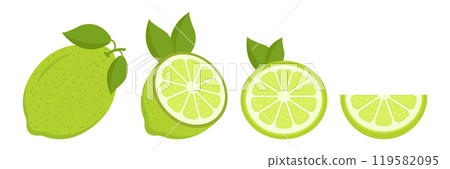 Lime fruit icon set in flat style. Organic fruits vector illustration on isolated background. Vitamin C food sign business concept. Lime fruit icon set in flat style. Organic fruits vector illustration on isolated background. Vitamin C food sign business concept. 119582095