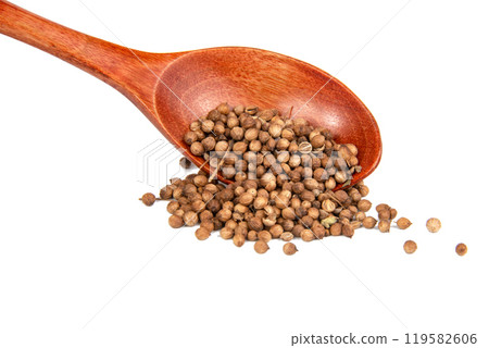 Dried cilantro spices in wooden spoon isolated on the white background Dried cilantro spices in wooden spoon isolated on the white background 119582606