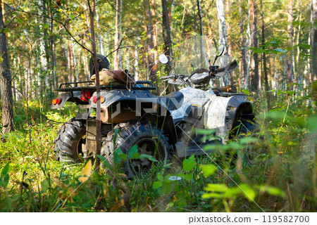 Quad bike or ATV in sunny forest. All Terrain Vehicle of hunter or forester outside 119582700
