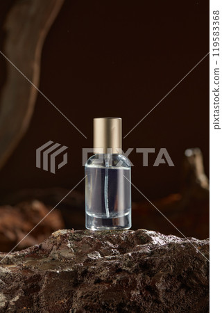Against a background of hazy, earthy tones, the picture ad template main focal point is a transparent glass bottle with a sleek, silver cap standing firmly spread on a rough, dark brown rock. Against a background of hazy, earthy tones, the picture ad template main focal point is a transparent glass bottle with a sleek, silver cap standing firmly spread on a rough, dark brown rock. 119583368