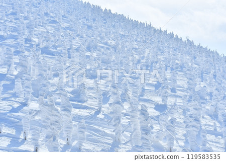 橫跨山形縣和宮城縣的藏王山脈,樹木被霜覆蓋的神秘景象 橫跨山形縣和宮城縣的藏王山脈,樹木被霜覆蓋的神秘景象 119583535