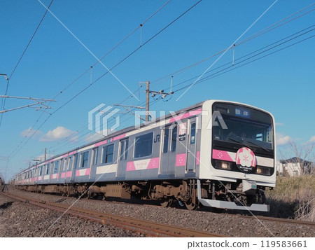 常磐線上行駛的E501系列SAKIGAKE 常磐線上行駛的E501系列SAKIGAKE 119583661