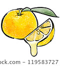 Yuzu juice ink illustration 119583727