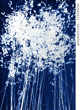 Blue cyanotype of herbs and flowers. A Sun Print. Silhouettes of plants on a blue background. Plant illustration. Alternative photography. 119584016