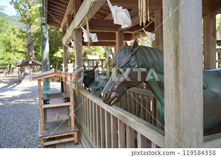 日本島根縣出雲市的出雲大社 119584338