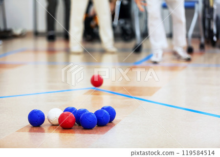 People enjoying the disabled sport of boccia 119584514