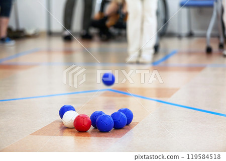 People enjoying the disabled sport of boccia 119584518