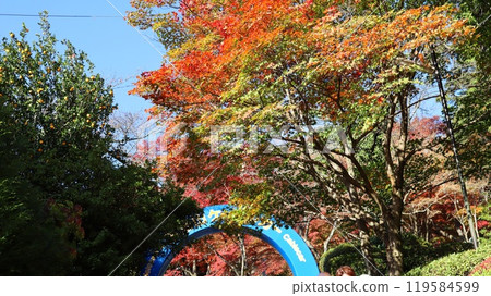Mount Tsukuba cable car gate and autumn leaves 119584599